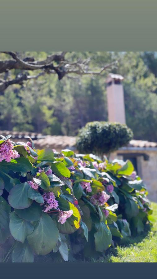 Masia Cap Del Roc Vallcebre エクステリア 写真
