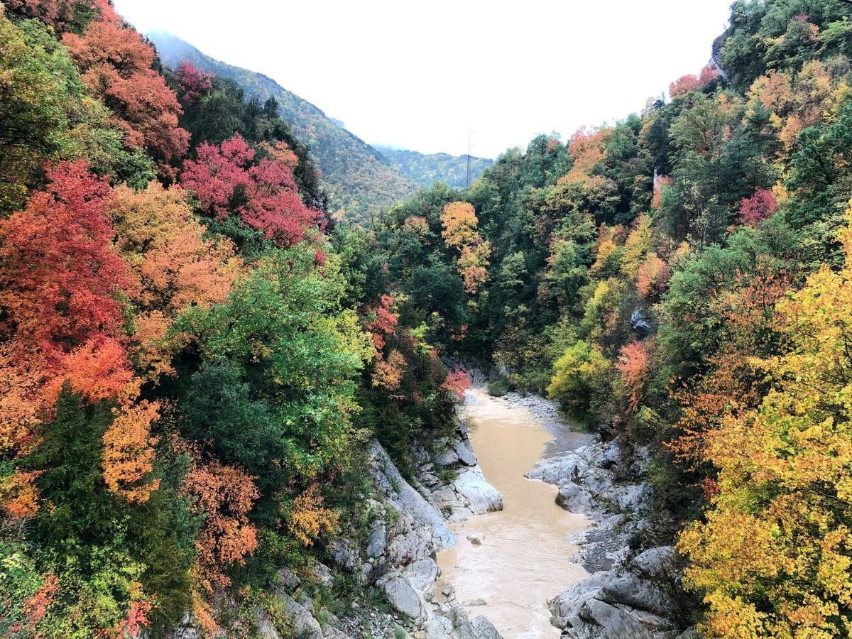 Masia Cap Del Roc Vallcebre エクステリア 写真